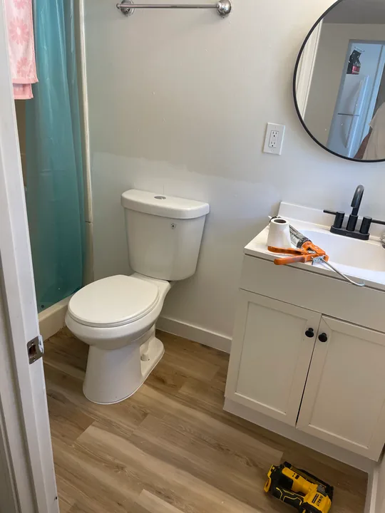 Wood-look plank flooring beside a toilet and white bathroom vanity