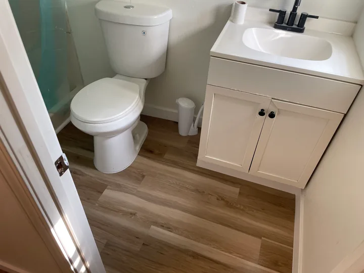 Wood-look plank flooring beside a toilet and white bathroom vanity