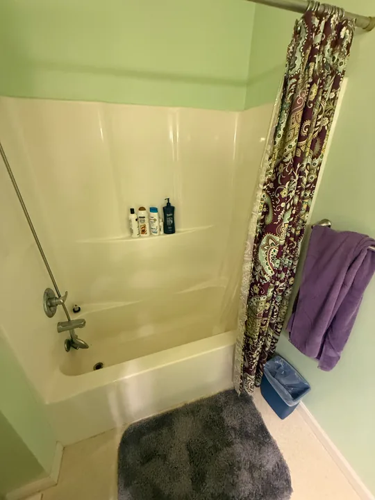 Bathroom with green upper walls, tub surround, vanity and patterned plank flooring