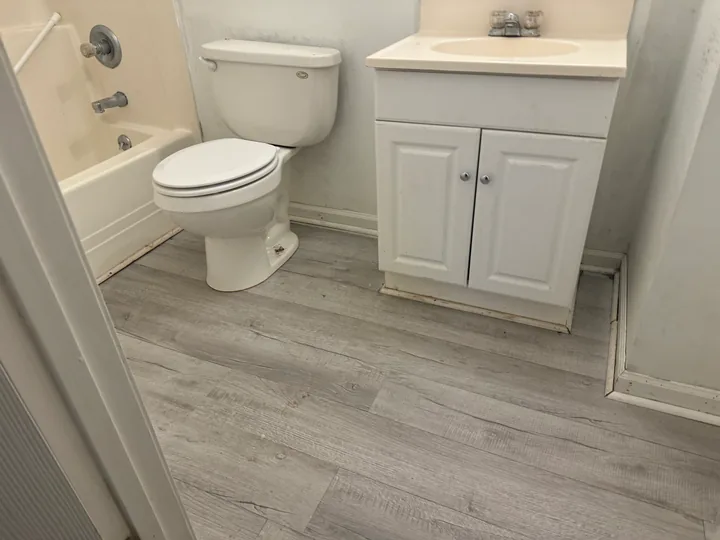White bathroom vanity, faucet, toilet and plank flooring