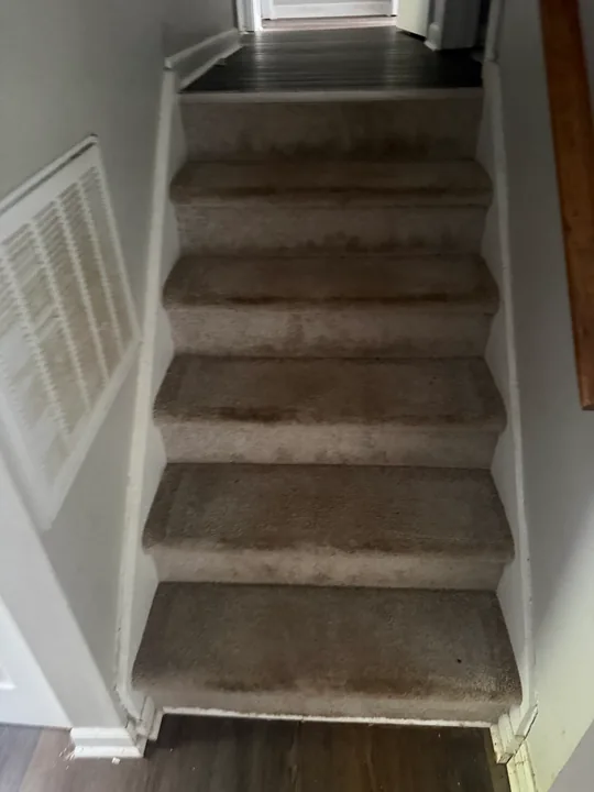 Carpeted staircase with white stair trim