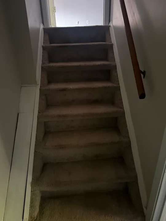 Carpeted staircase with white stair trim