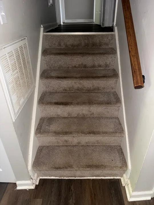 Carpeted staircase with white stair trim