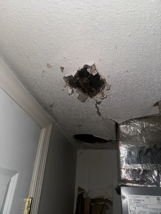 Damaged ceiling edges and drywall repair preparation