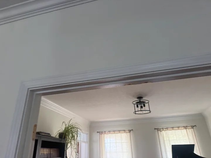 Painted interior wall, white doorway trim and wood flooring