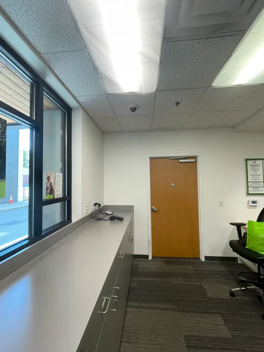 Painted office walls, broad windows and carpet tiles
