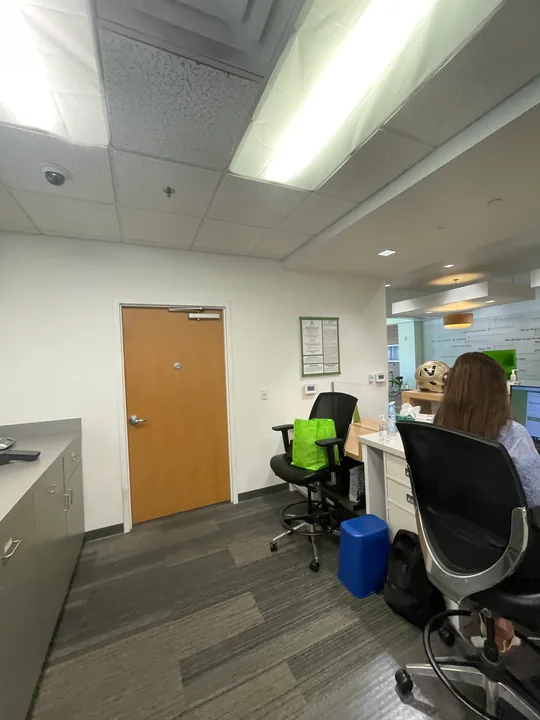 Painted office walls, broad windows and carpet tiles