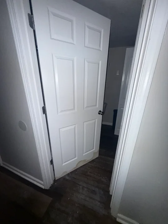 Wood-look plank flooring through rooms and doorways