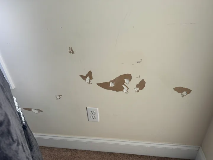 Interior wall repair patches and painted room surfaces